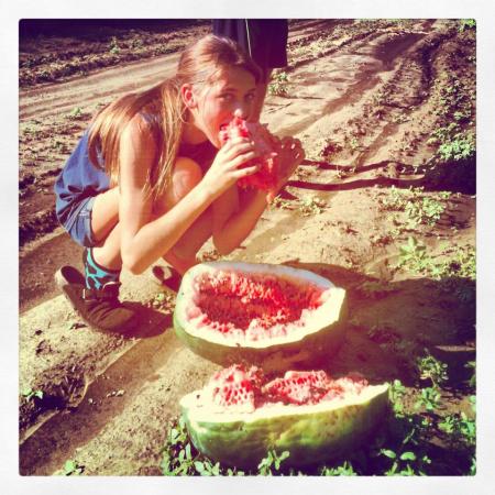 Black Diamond Watermelon Addict caught on camera!
